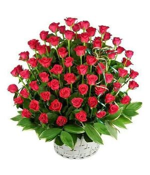 60 red roses with green leaves to vietnam