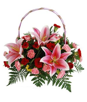 Red Carnations,Pink Carnations and Pink lilies Send to Vietnam