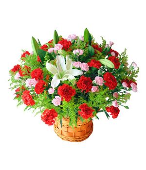 36 Red Carnations and 2 stalks White Perfume lilies Send to Vietnam