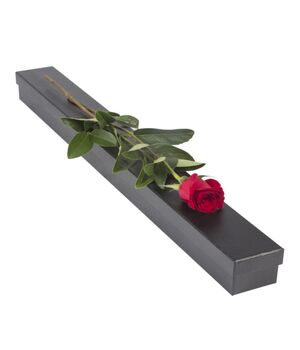 buy single rose box to vietnam to vietnam