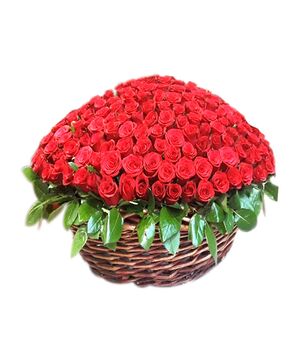 hundred red roses with green leaves send to vietnam