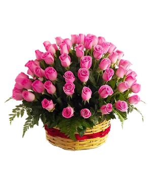 three dozen pink roses with fuphorbia marginata to vietnam