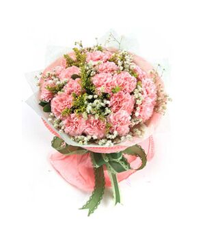 17 pink carnations with baby's breath to vietnam