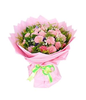 19 carnations with green leaves to vietnam