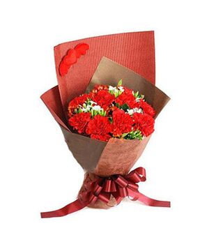 19 red carnations delivery to vietnam