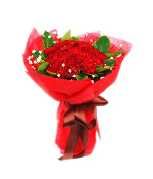 19 red carnations with greenery to vietnam