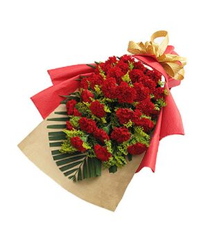 21 red carnations flower bouquet to vietnam