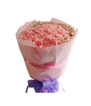 33 pink carnations bouquet to vietnam