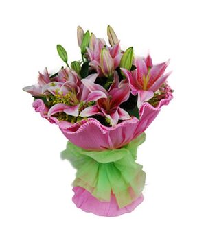 6 pink perfume lilies send to vietnam