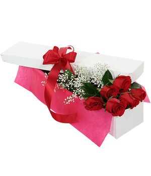 6 Red Roses in Box