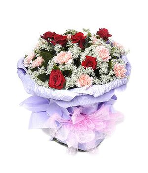 one dozen champagne carnations with red roses to vietnam