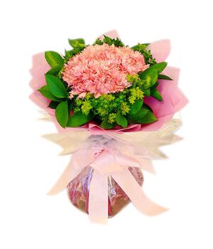 17 pink carnations delivery to vietnam