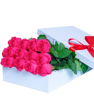 12 Pink Roses in Box