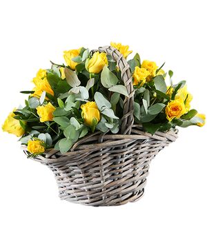 24 pcs. Yellow Color Roses in Basket