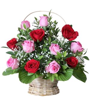 Dozen of Red and Pink Roses in Basket