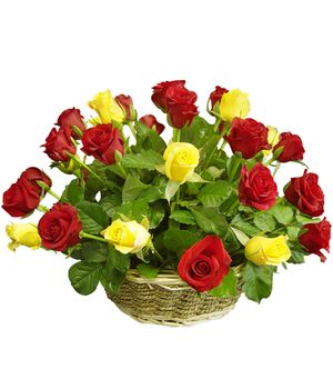 24 Multi-Color Roses in Basket