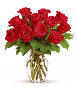 1 Dozen Red Color Roses in Vase