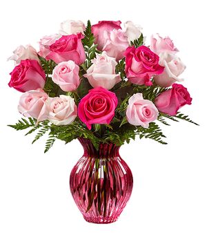 18 Soft and Hot Pink Roses in Vase