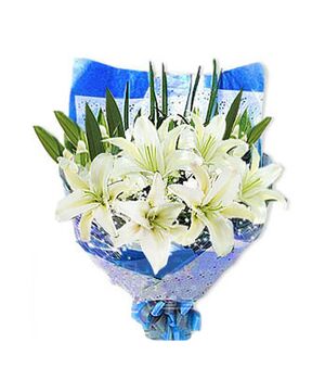 six white lilies with baby's breath send to vietnam