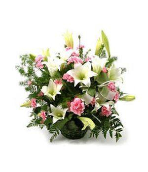 three dozen pink carnations with 5 perfume lilies to vietnam