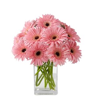 one dozen pink gerbera's with free vase to vietnam