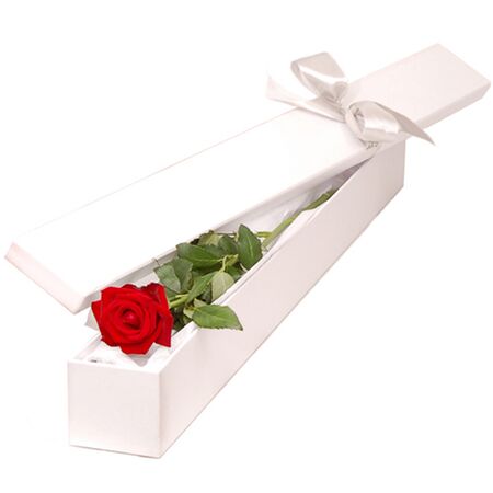 Single Red Color Rose in Box