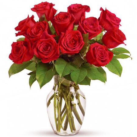 1 Dozen Red Color Roses in Vase